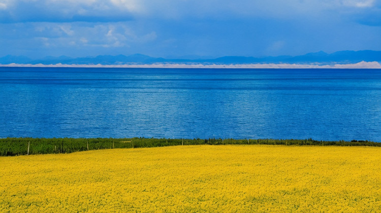 【兰州出发】兰州+张掖+嘉峪关+敦煌+茶卡盐湖+青海湖景区8日7晚拼小团