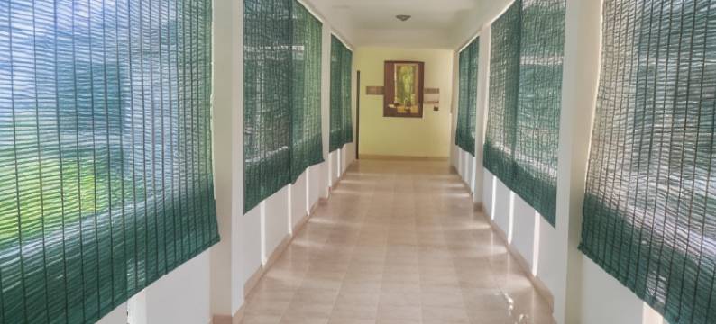 特拉凡科传统海滩度假村(The Travancore Heritage Beach Resort)图片