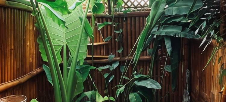 Tongo山丘小屋(Tongo Hill Cottages)图片