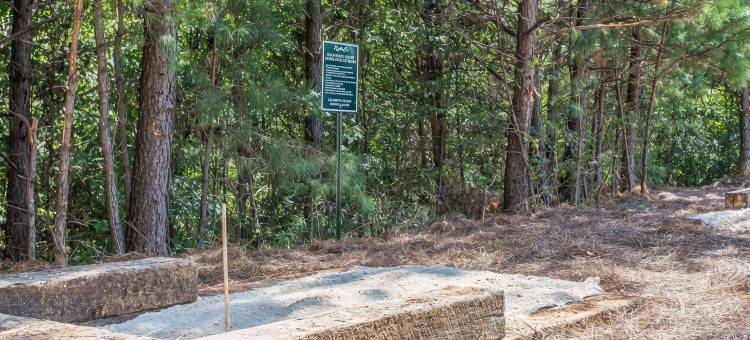 郊区酒店-肯尼索-玛丽埃塔北(Suburban Studios Kennesaw-Marietta North)图片