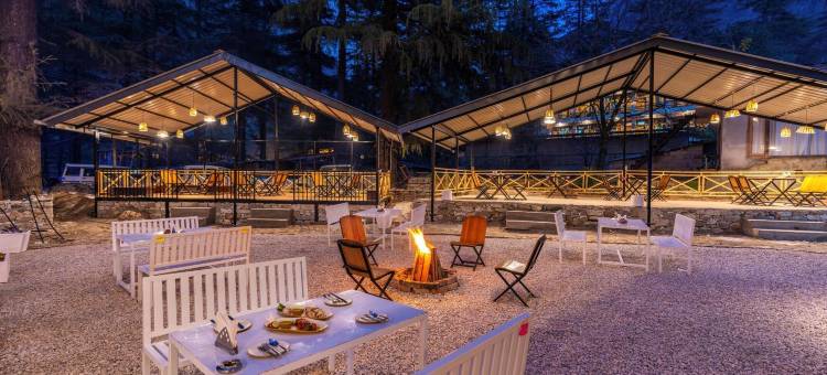 Zostel 卡索尔(Zostel Kasol)图片