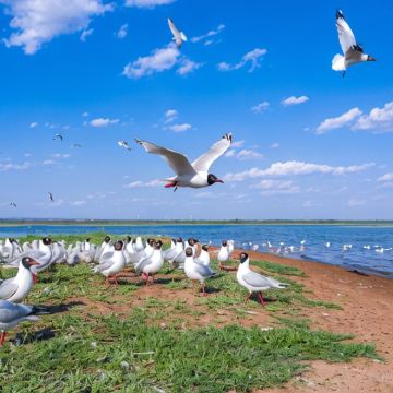 西安+黄帝陵+延川黄河乾坤湾景区+延安+榆林8日7晚私家团