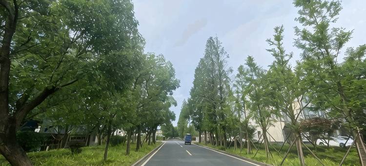 乌镇西栅邂逅·时光主题民宿图片