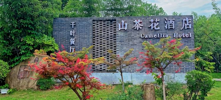 信阳南湾湖山茶花酒店图片
