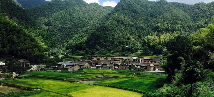 丽水曼山居Forest Retreat民宿图片