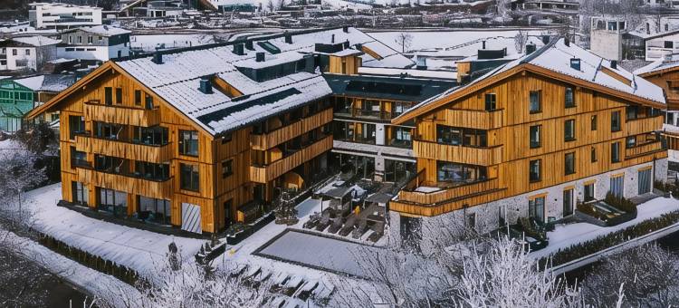 泽尔湖元素度假村(Elements Resort Zell am See)图片