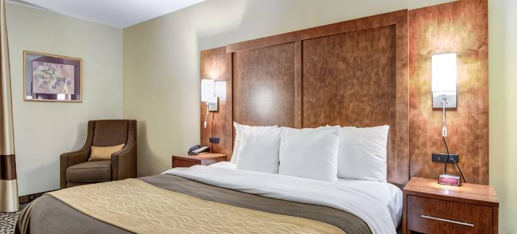 舒适套房酒店(Comfort Inn & Suites Athens North)图片
