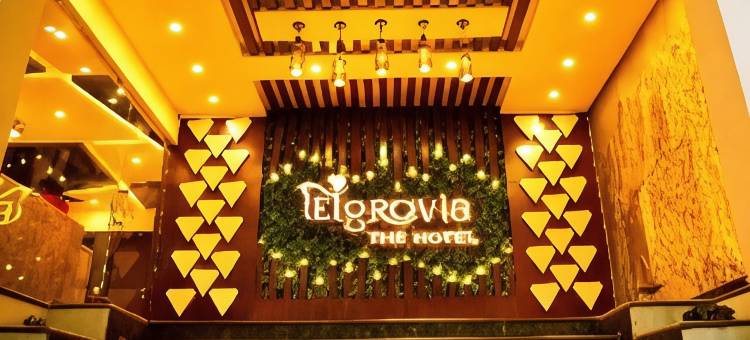 埃尔格罗维亚酒店(Hotel Elgrovia)图片