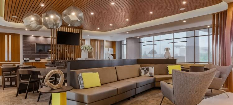 SpringHill Suites San Jose Fremont图片