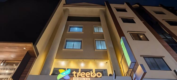 Treebo 绿橄榄(Treebo Green Olive)图片