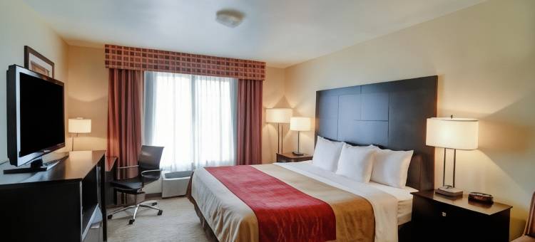 舒适套房酒店(Comfort Inn & Suites)图片