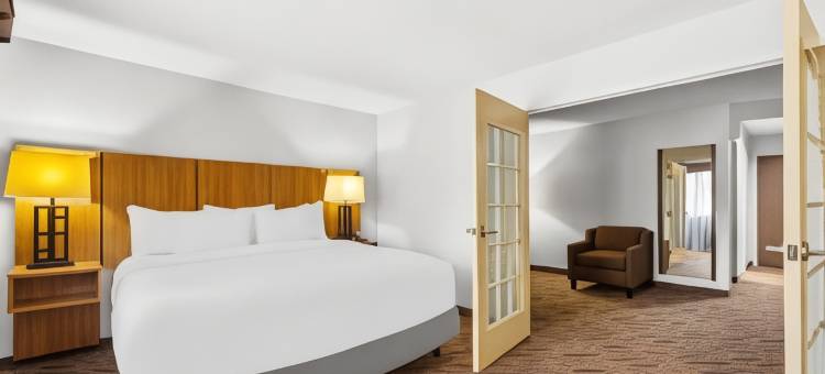 品质酒店及套房机场北 - 石橡树(Quality Inn & Suites Airport North - Stone Oak)图片