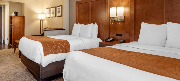 伯利恒舒适套房酒店-近利哈伊大学和LVI机场(Comfort Suites Bethlehem Near Lehigh University and LVI Airport)图片