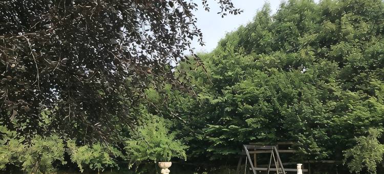 瑞因斯伦德住宿加早餐旅馆(Ringslund B&B)图片
