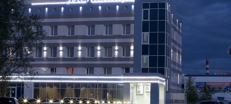 梅特里萨酒店(Metelitsa Hotel)图片