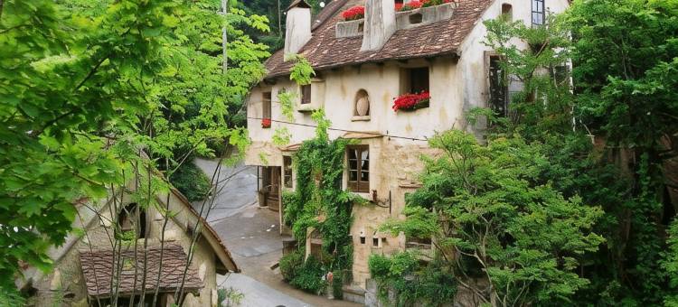 星野集团 界 远州(Hoshino Resorts Kai Enshu)图片