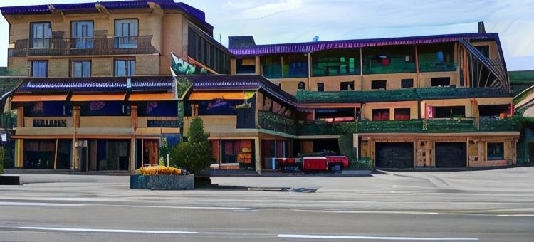 德拉鲁特维特酒店(Hotel de La Route Verte)图片