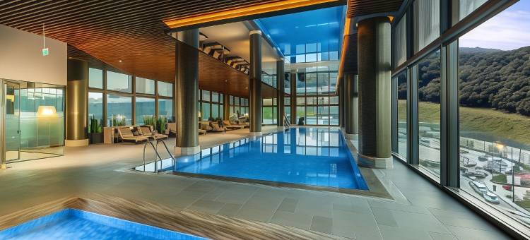 瓦迪斯坦布尔丽笙精选酒店(Radisson Collection Hotel Vadistanbul)图片