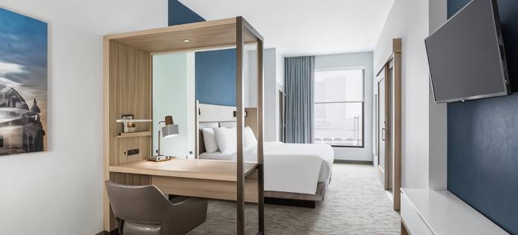 麦迪逊SpringHill Suites酒店(SpringHill Suites Madison)图片