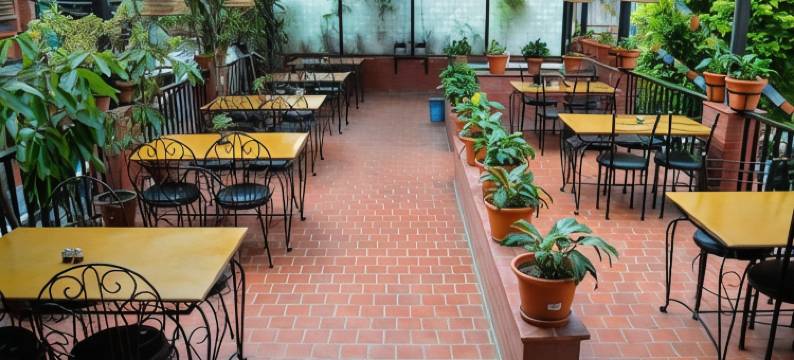 泰美尔大酒店(Thamel Grand Hotel)图片