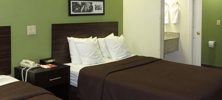 奥尔巴尼南罗德威酒店(Rodeway Inn Albany South)图片