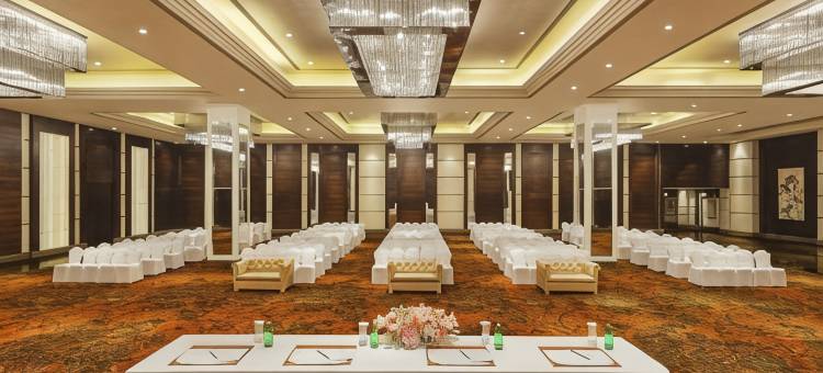 德拉敦塞弗特萨诺瓦高级酒店(Seyfert Sarovar Premiere Dehradun)图片