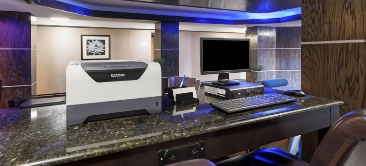 舒适套房酒店机场I-10(Comfort Inn & Suites I-10 Airport)图片