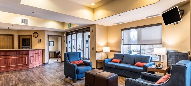 舒适套房酒店(Comfort Inn & Suites)图片