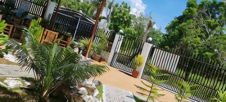 巴巴斯旅馆(Babas Guesthouse)图片