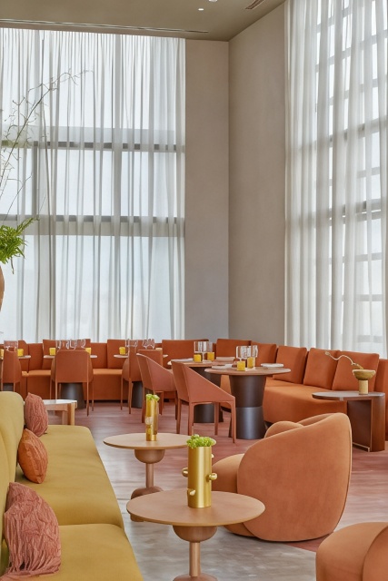 W Sao Paulo Over view