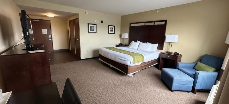 舒适酒店(Comfort Inn)图片