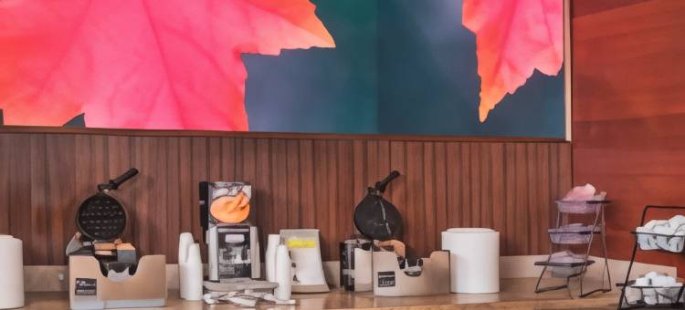 Fairfield Inn & Suites Williamsburg图片