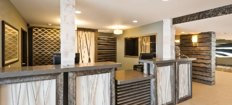 长滩贝斯特韦斯特酒店(Best Western Long Beach Inn)图片