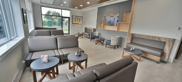 渥太华加蒂诺智选假日套房酒店(Holiday Inn Express & Suites Gatineau - Ottawa)图片