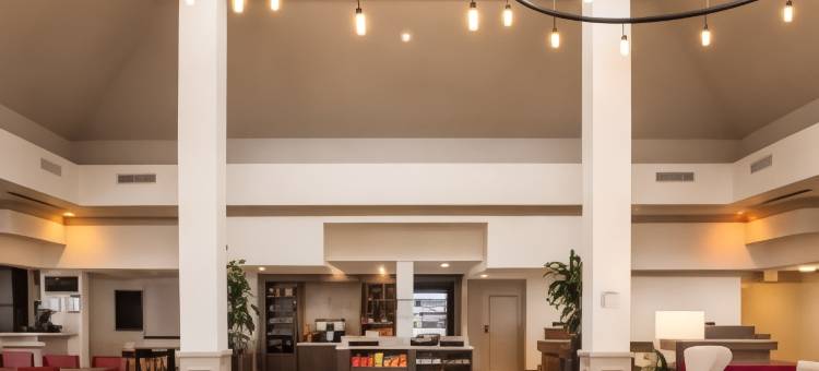 纳什维尔士麦拿希尔顿花园酒店(Hilton Garden Inn Nashville/Smyrna)图片