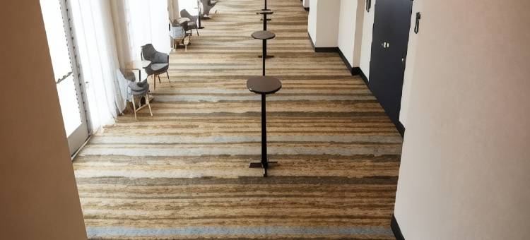 洲际假日酒店沃斯堡 - 联盟(Holiday Inn Fort Worth - Alliance)图片