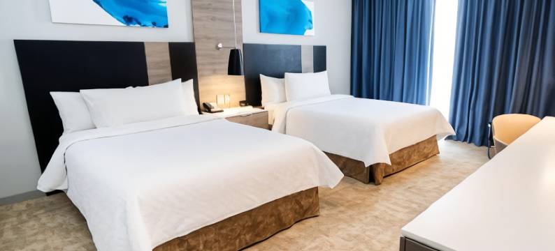 墨西哥城圣达菲希尔顿花园酒店(Hilton Garden Inn Mexico City Santa Fe)图片