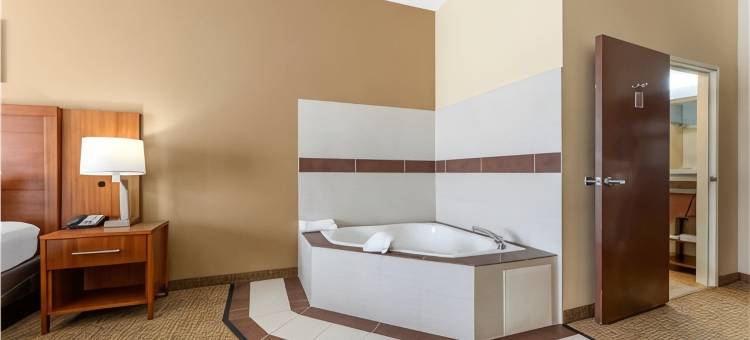 波特舒适套房酒店 - 近印第安纳沙丘(Comfort Inn & Suites Porter Near Indiana Dunes)图片