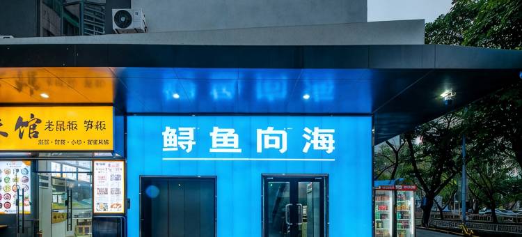 鲟鱼向海青年旅舍(深圳大学店)图片