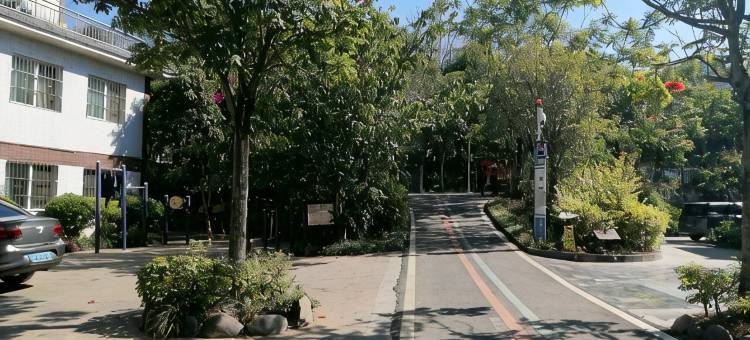米易团宝山康养中心住宿图片