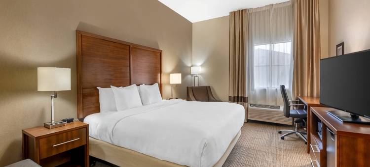 舒适酒店(Comfort Inn I-20 Midland Stanton)图片
