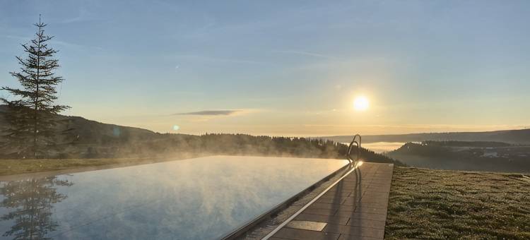 蒂蒂湖Saigerhöh健康水疗酒店(Hotel Saigerhöh Wellness Spa Golf Wandern über Dem Titisee)图片