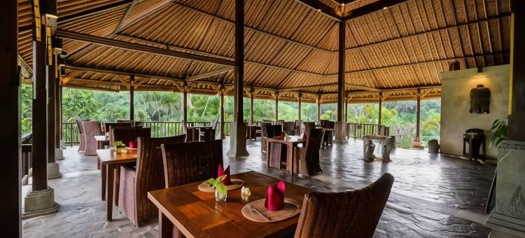 那图拉自然水疗度假酒店(Natura Villa Ubud Bali)图片