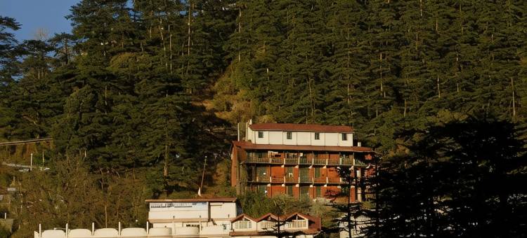 西姆拉思维林酒店(Hotel Silverine Shimla)图片