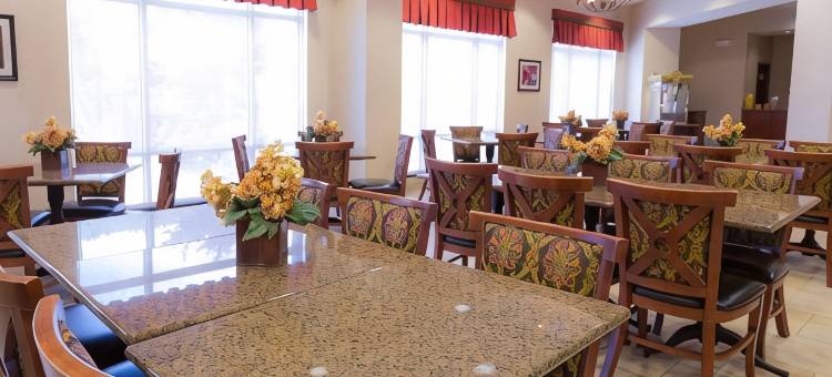塞克斯顿德鲁套房酒店(Drury Inn & Suites Sikeston)图片