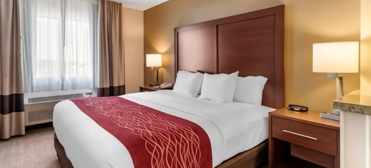 舒适酒店(Comfort Inn)图片
