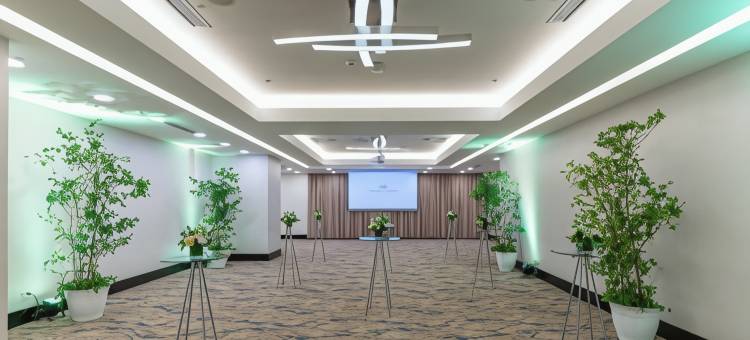 圣多明戈皇冠假日酒店(Crowne Plaza SANTO DOMINGO by IHG)图片