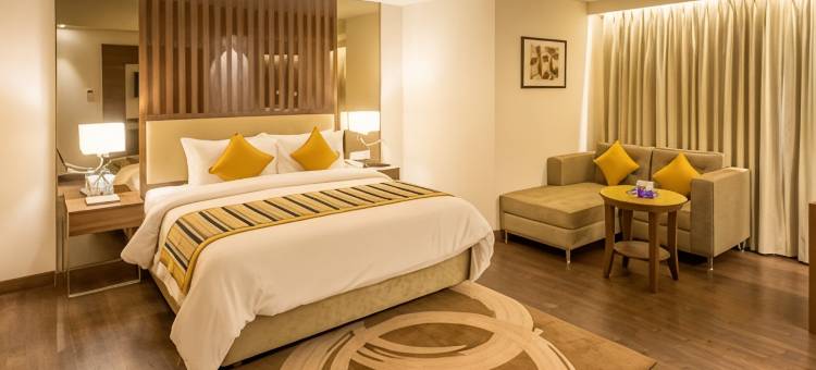 海得拉巴阿迪亚公园酒店(Aditya Park Hyderabad)图片
