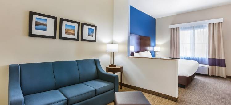 尤马I-8舒适套房酒店(Comfort Inn and Suites Yuma I-8)图片