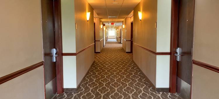 舒适套房酒店-德克萨斯大道(Comfort Suites Texas Ave)图片